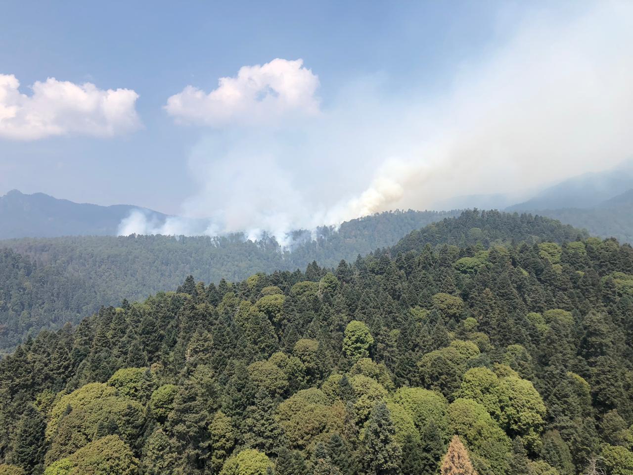 Combaten tres INCENDIOS ACTIVOS en Morelos