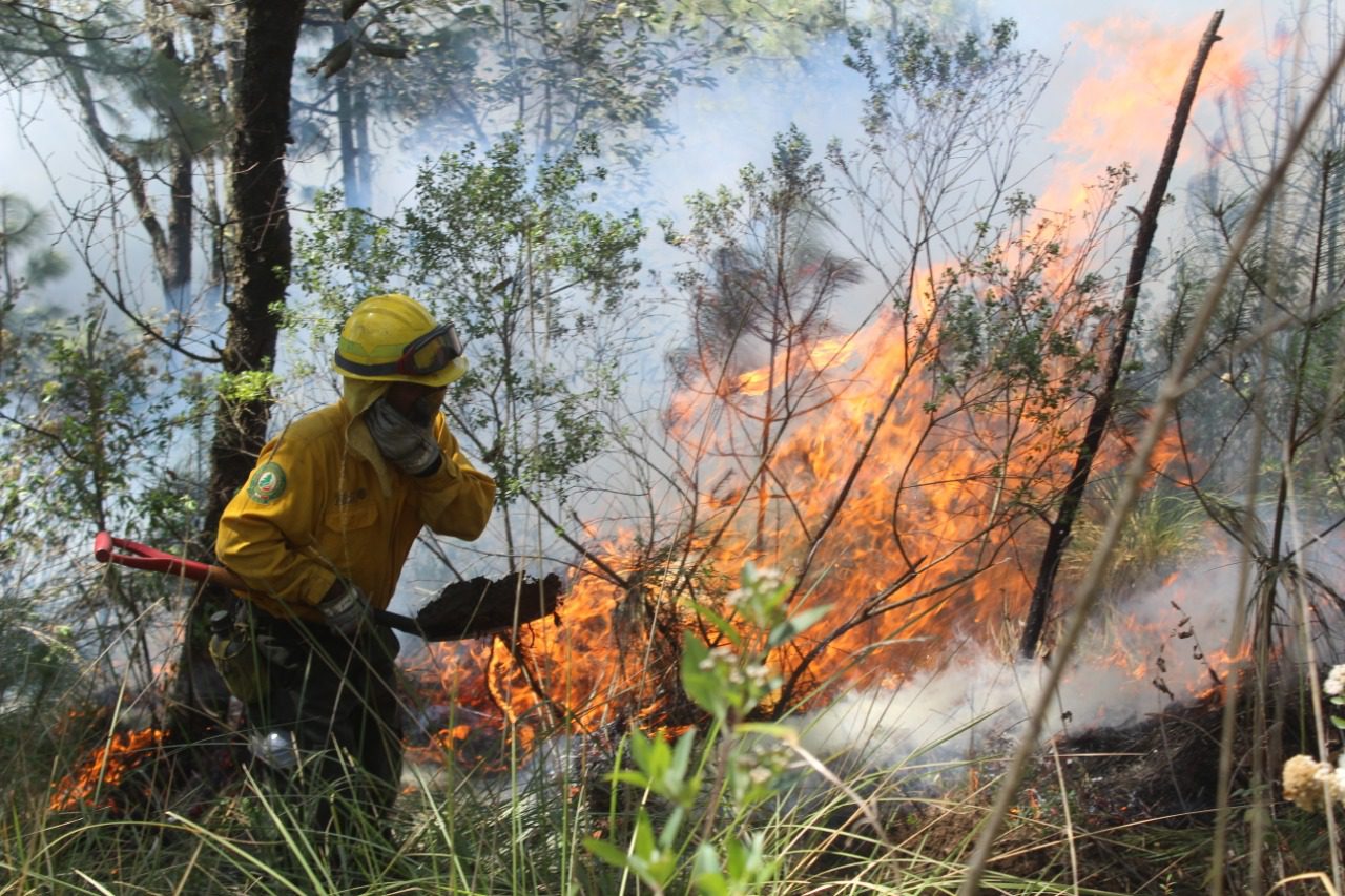 Se han registrado 94 incendios en Morelos con afectaciones a más de mil 300 hectáreas