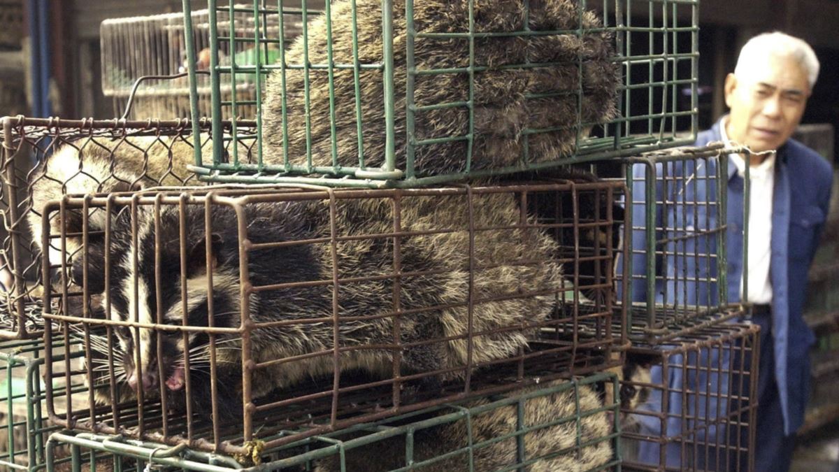 Exigen a la ONU el cierre de mercados de animales vivos en el mundo