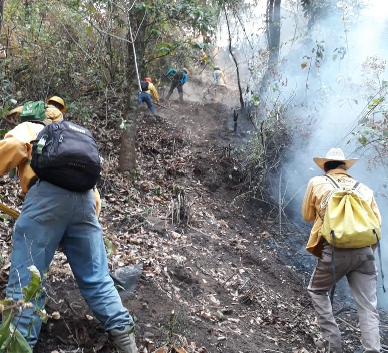 Sofocan incendio en Santa María Ahuacatitlán