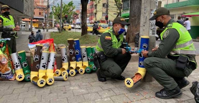 Instalan dispensadores de comida para perros y gatos abandonados en Colombia