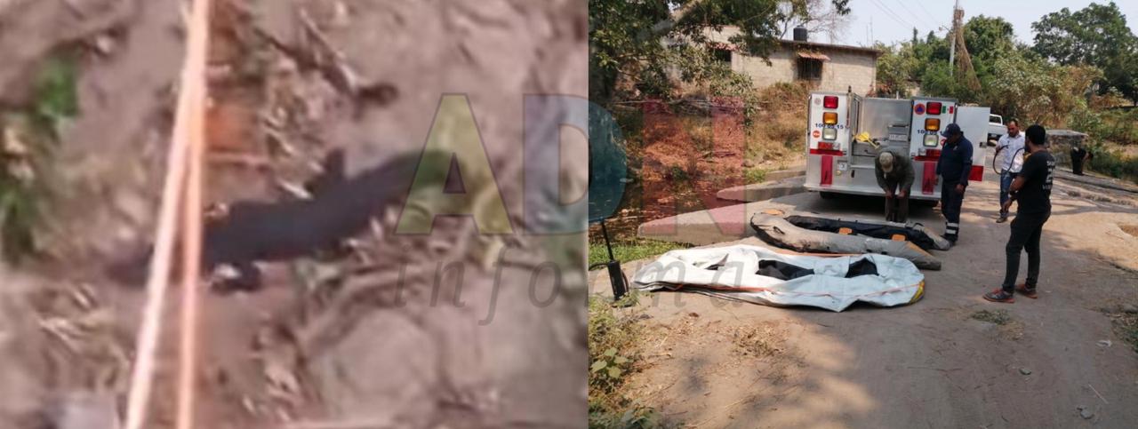 COCODRILO SUELTO en río de MORELOS, seguirán buscándolo