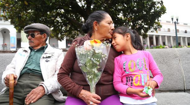 Injerto pequeño Ciudad Menda Piden NO hacer visitas en Día de las Madres para evitar contagios - Infórmate y más Injerto pequeño Ciudad Menda Piden NO hacer visitas en Día de las Madres para evitar contagios - Infórmate y más