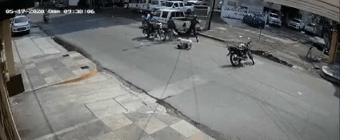 [VIDEO] Pitbull ataca a niño en Tabasco y motociclistas lo ayudan