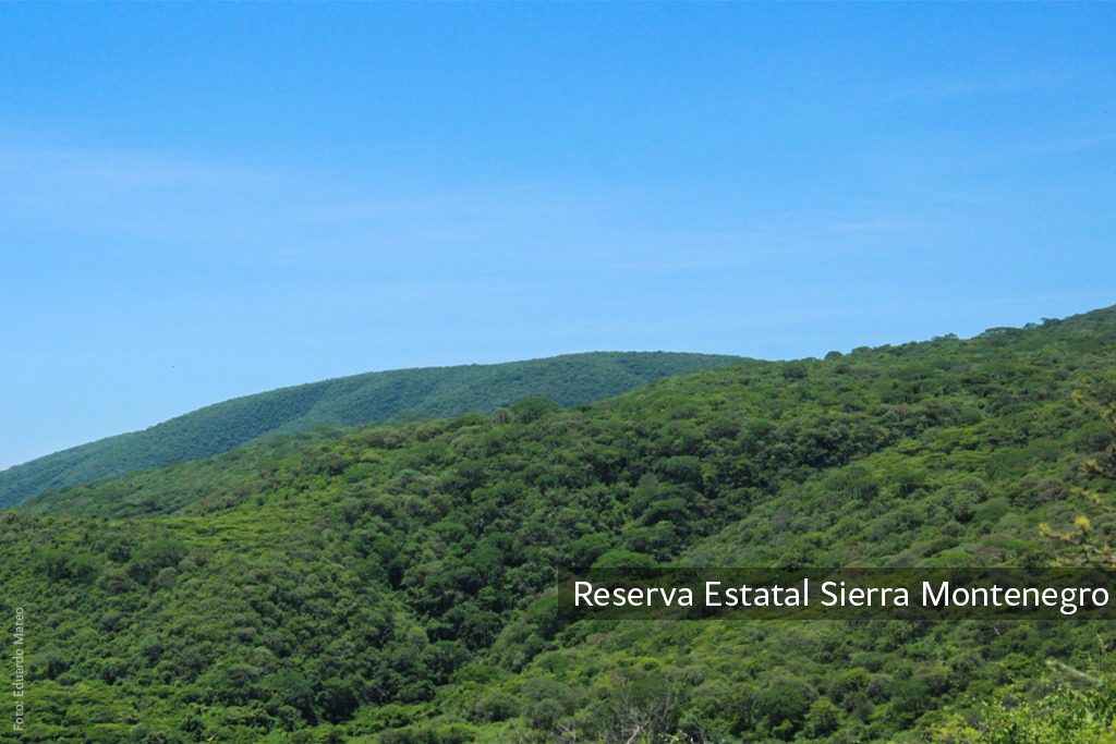Mancha urbana amenaza el área natural Sierra Montenegro de Morelos