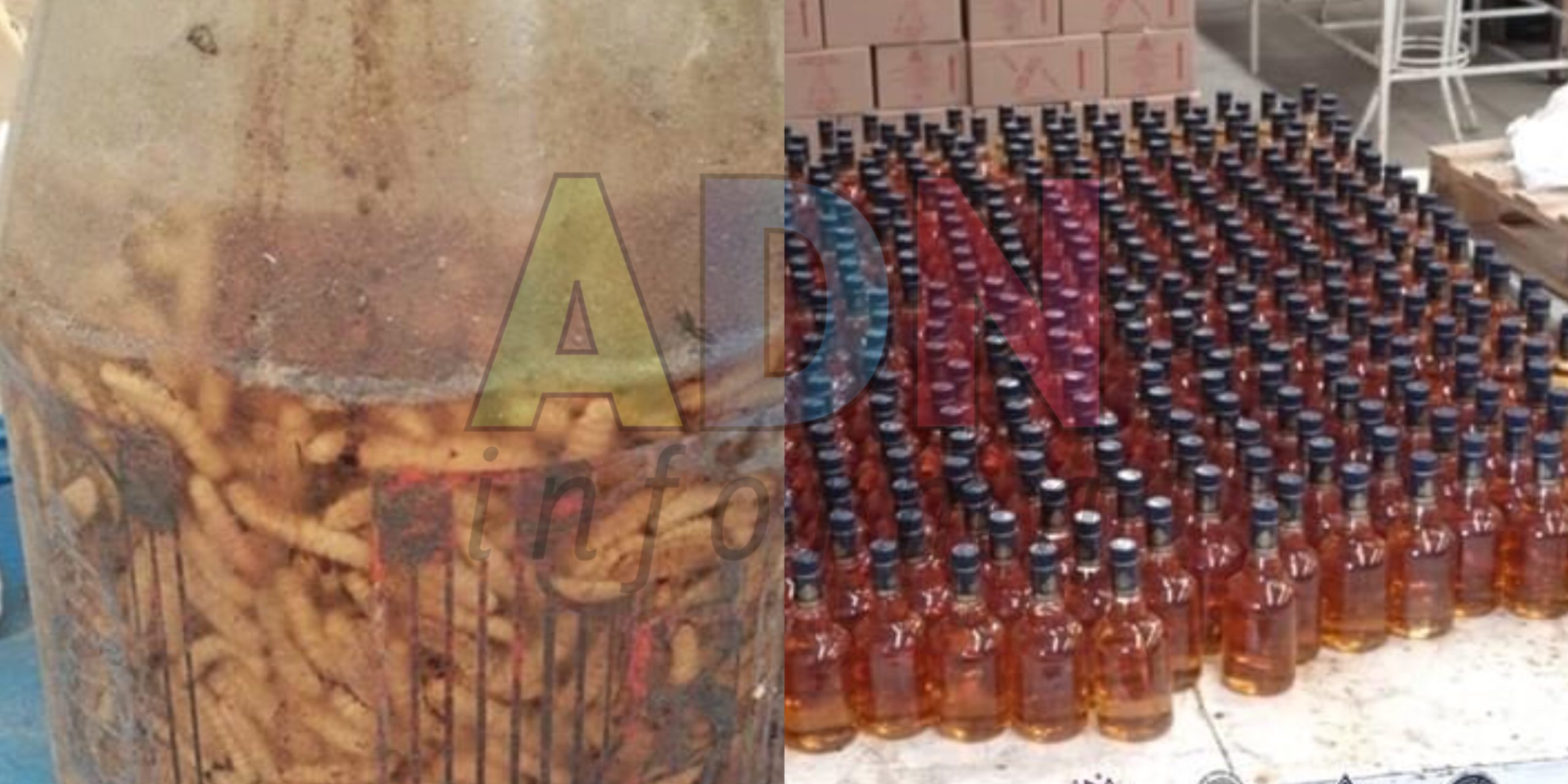[GALERÍA] Esto es lo que encontraron en la fábrica de ALCOHOL ADULTERADO en Puente de Ixtla
