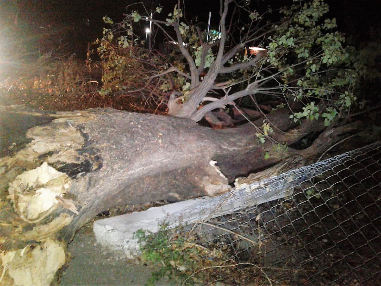 Llaman a tomar medidas de prevención por la temporada de lluvia en Ayala