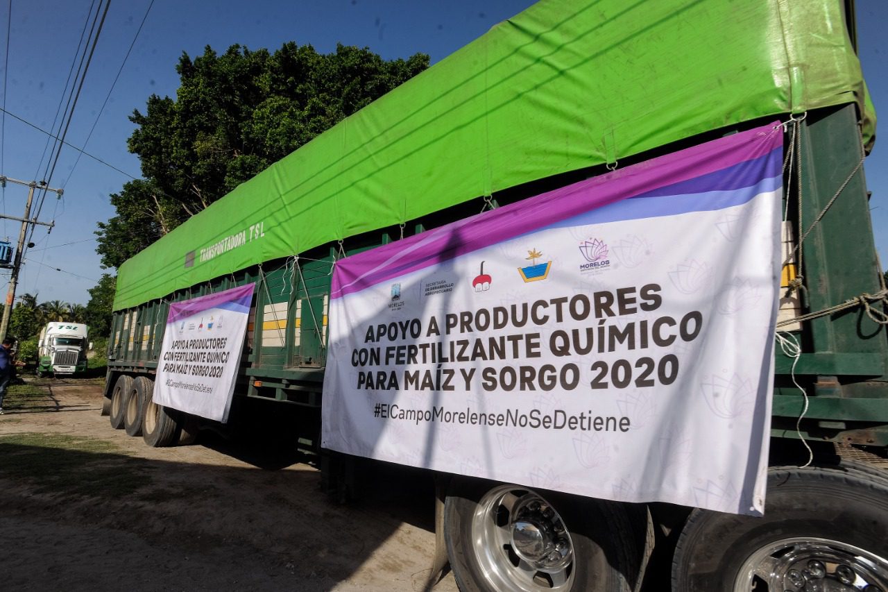 Continúan la entrega de fertilizantes a productores morelenses