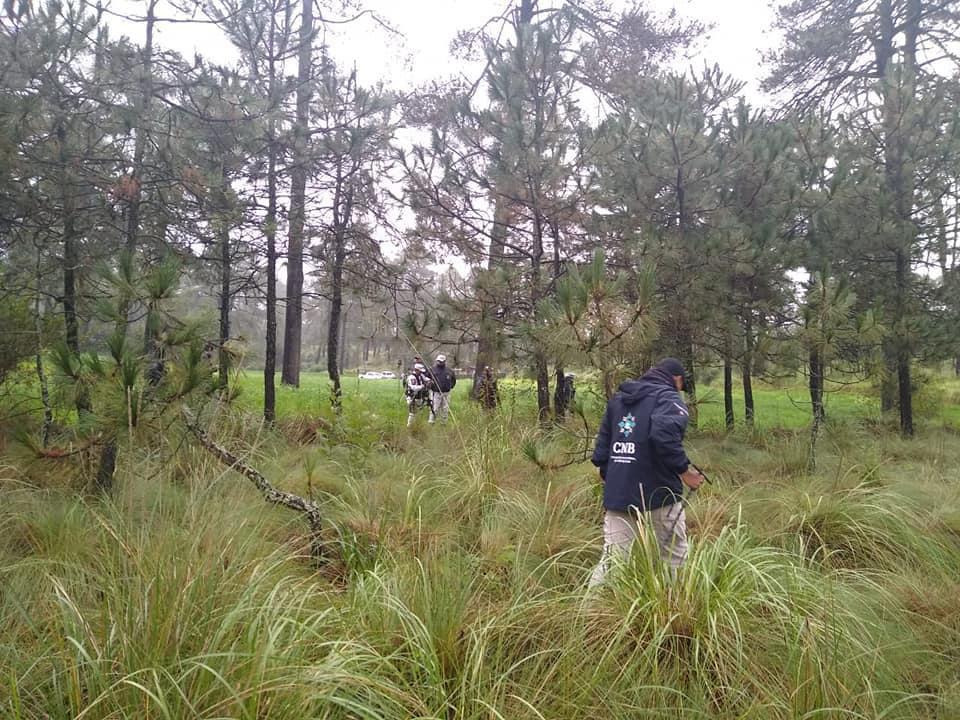 Realizan búsqueda de personas desaparecidas en Huitzilac