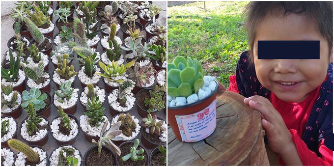 Marifer vende plantitas para pagar su tratamiento contra el CÁNCER