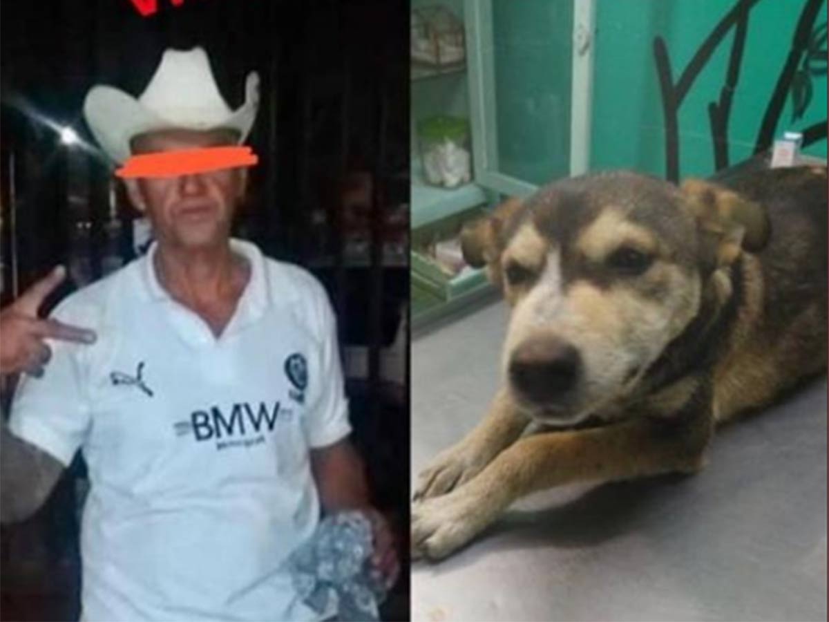 Setencian a un año de prisión a sujeto que abusó de una perrita en Nezahualcóyotl
