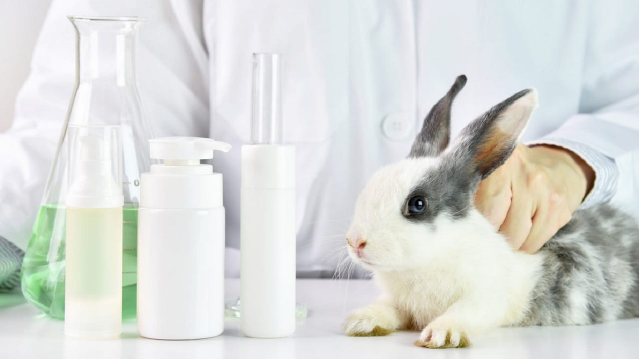 Colombia prohíbe las pruebas de cosméticos en animales