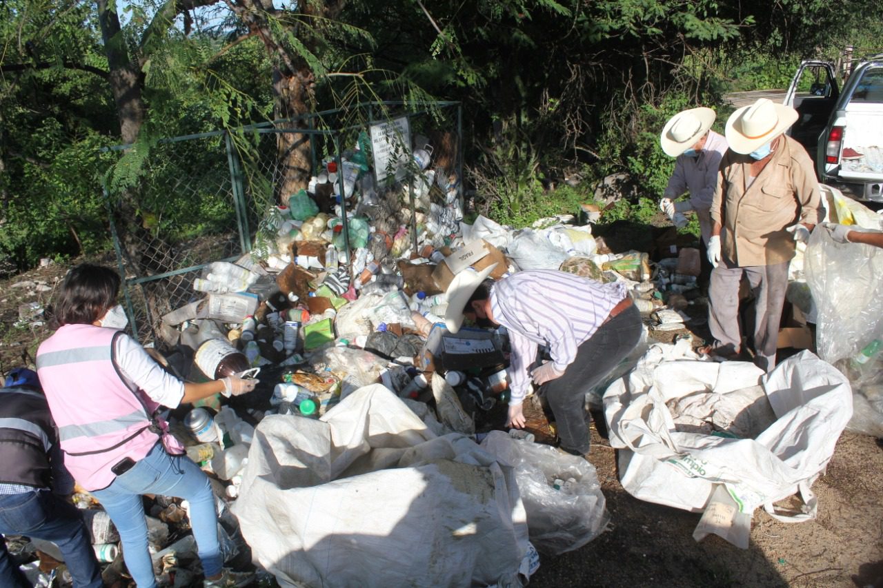 Inician campaña ‘Campo Limpio’ para recolectar envases de agroquímicos