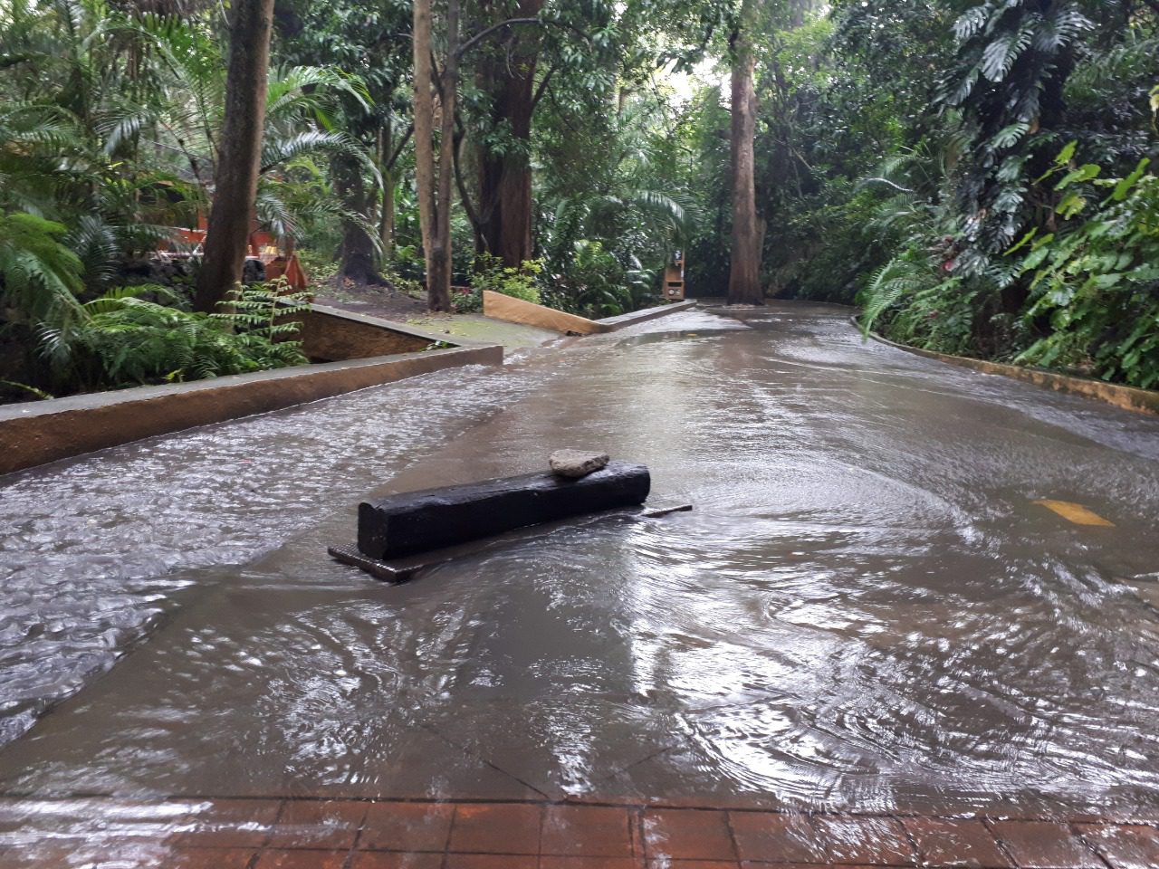 Cerrarán el Parque Chapultepec ante desbordamiento de la barranca