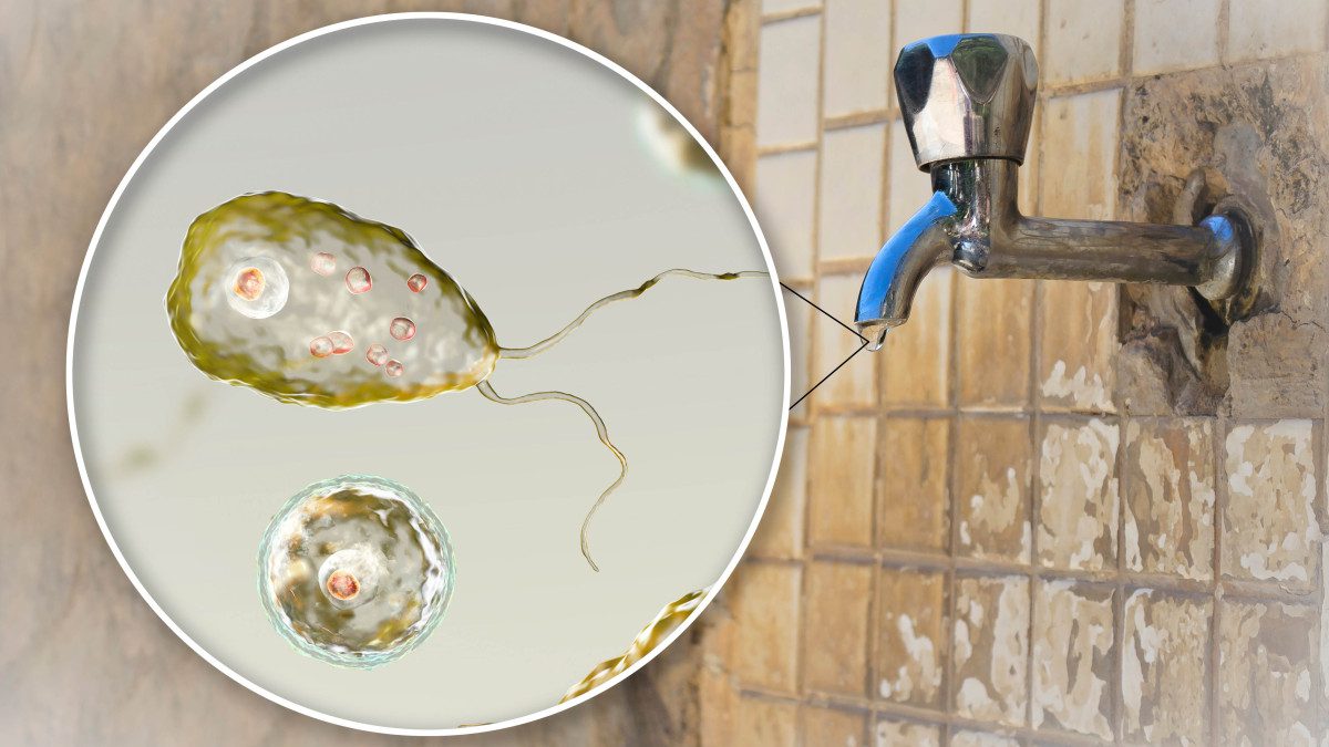 Alerta en ocho ciudades de Texas por ameba “comecerebros” encontrada en el agua
