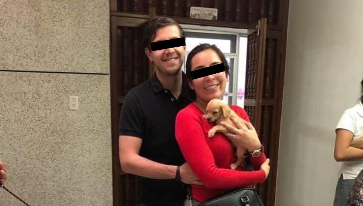 Denuncia a pareja que adopta perritos para alimentar a sus serpientes