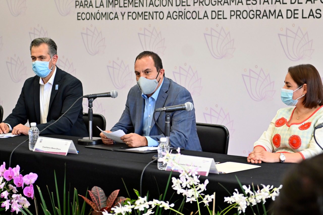 Darán 16 mdp a 450 productores morelenses