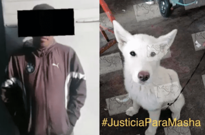 (VIDEO) Hombre que mató a machetazos a perra en Edomex confieza porque lo hizo