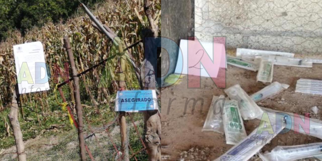 Hallan droga en rancho de hombre asesinado en Puente de Ixtla