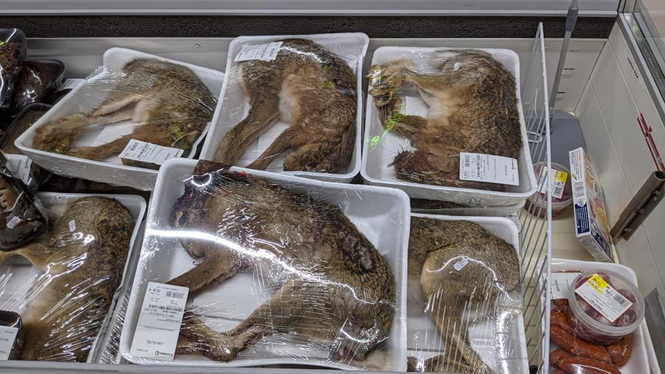 Supermercado de Francia vende animales empacados al vacío