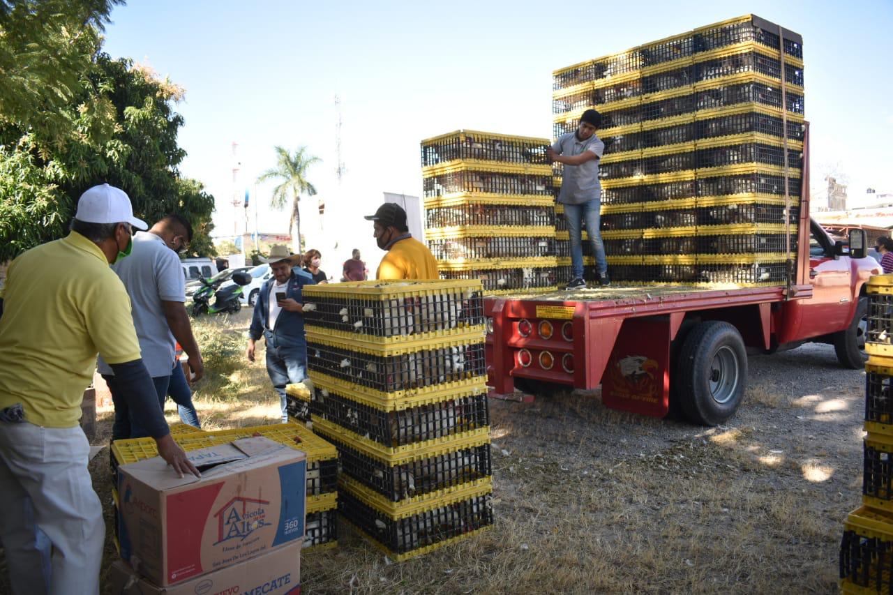 Entregan aves a bajos costo a familias de Jiutepec