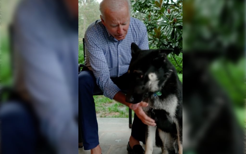 Biden sufre “pequeñas fracturas” tras resbalar mientras jugaba con su perro