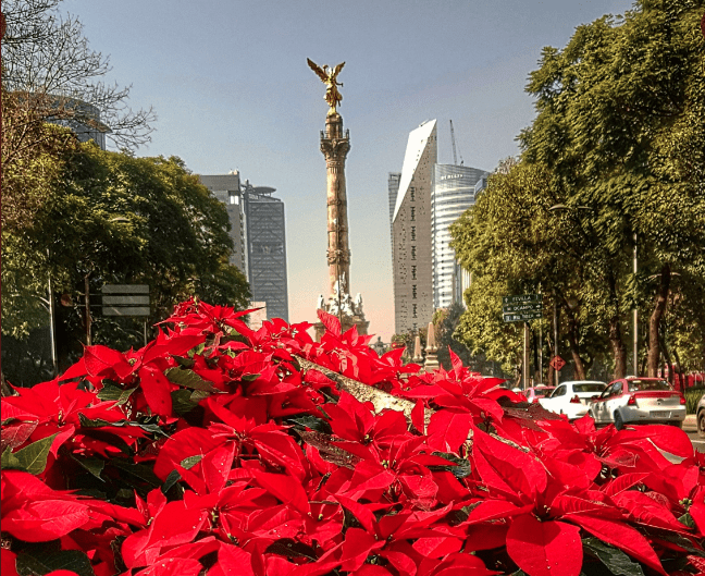 Mañana inicia el INVIERNO y es el día más corto del año