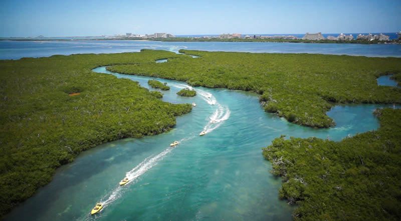 Ex gobernador de Cancún regaló a su mamá un pedazo de un manglar en Cancún