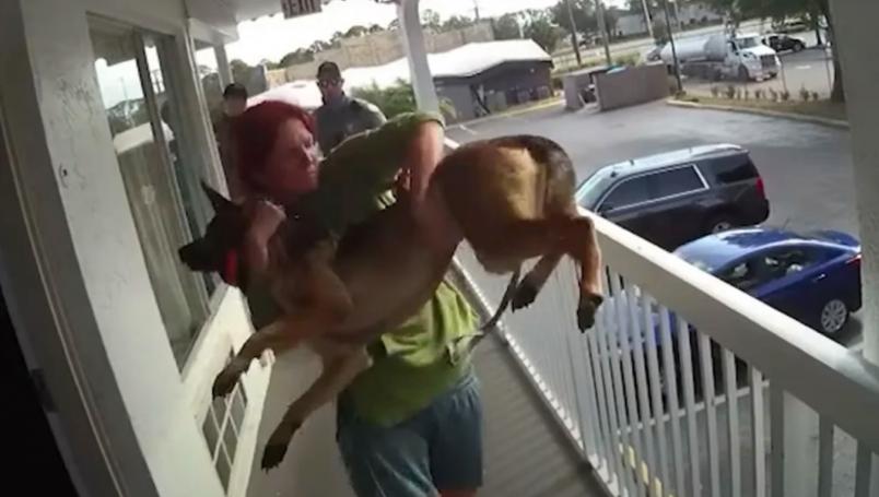 Una mujer arrojó su perro desde el balcón de un segundo piso