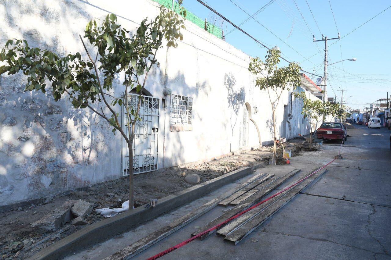 Plantan árboles endémicos en la ex hacienda de Buenavista en Cuautla