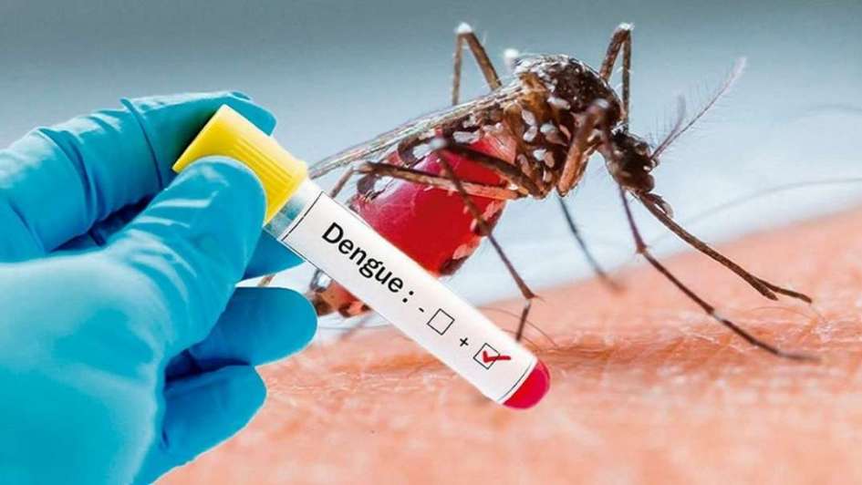 Salud Morelos pide a la población identificar síntomas de dengue, chikungunya y zika