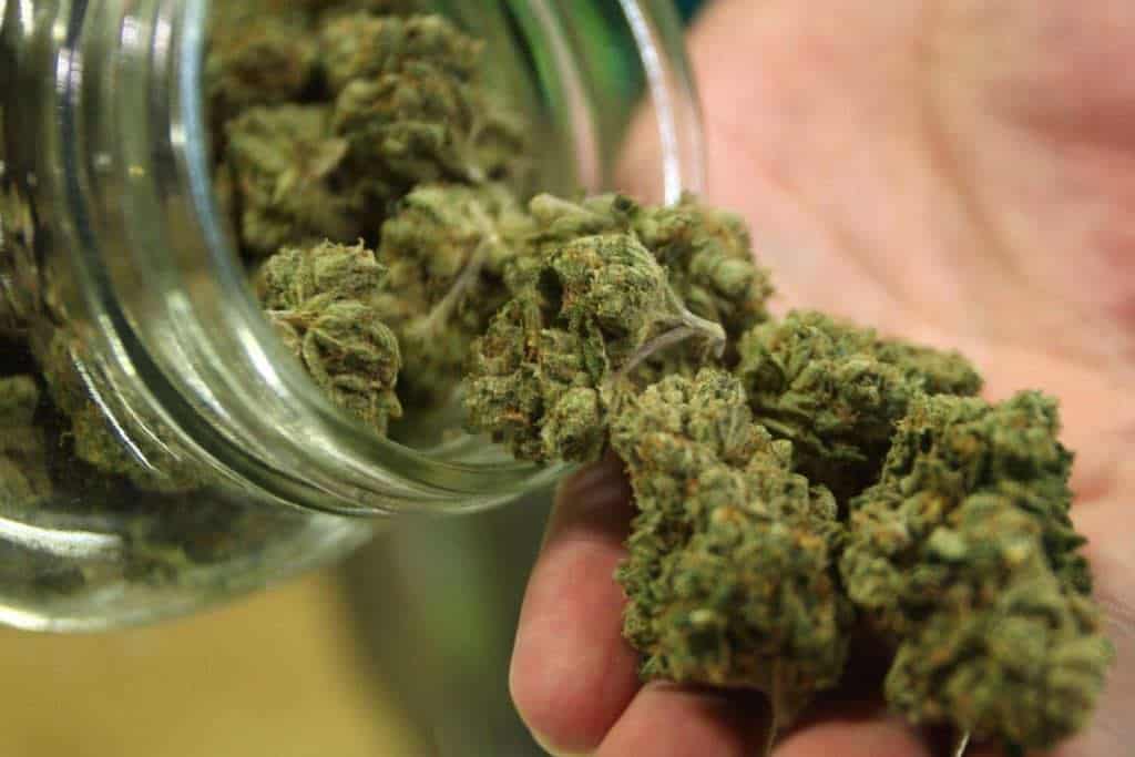 ONU recuerda a México reglas del comercio de marihuana