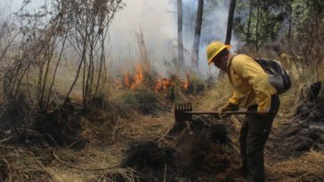 incendios Morelos