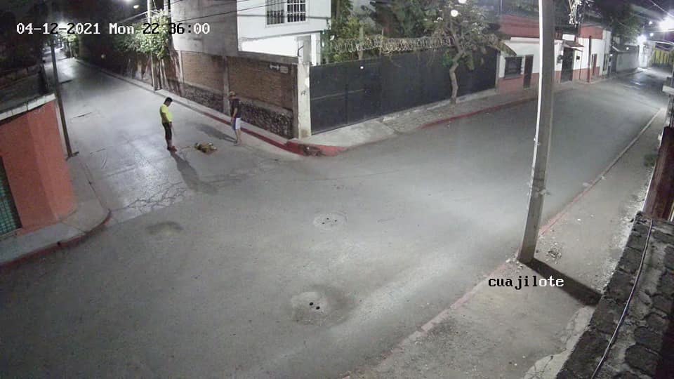 Sujetos arrastran hasta matar a perrita en calles de Yautepec, Morelos