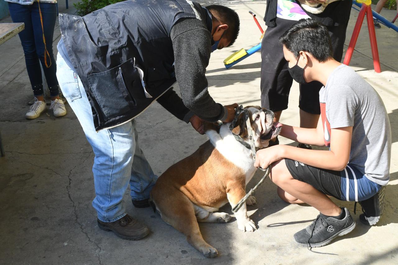 Arranca la Tercera Feria de la Salud Animal, Canina y Felina 2021 en Cuautla