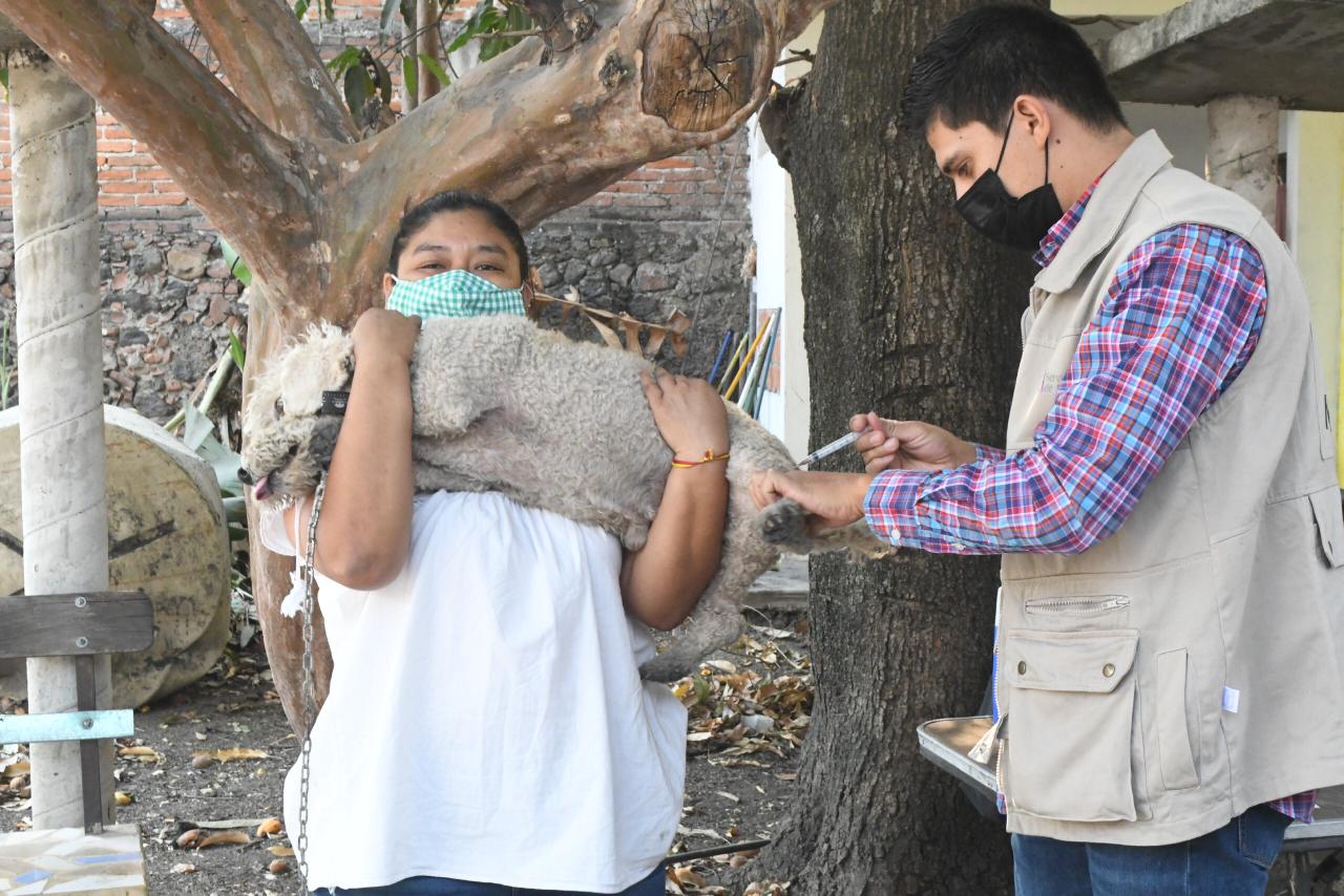 Concluyó con  ÉXITO la Tercera Feria de Salud Animal, Canina y Felina 2021 en Cuautla