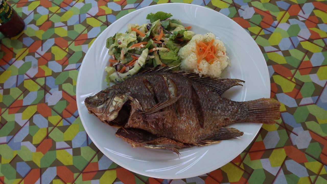 Destacan a la MOJARRA MORELENSE por ser muy NUTRITIVA