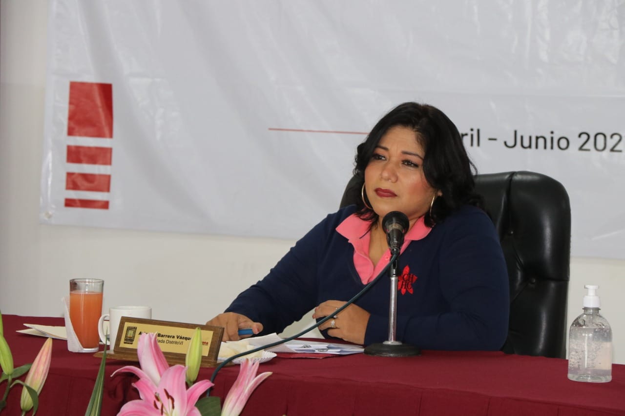 Acusan a Ariadna Barrera de usar su cargo para reelegirse
