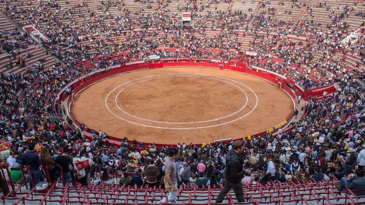 Además del futbol, corridas de toros y carreras de caballos vuelven a CDMX