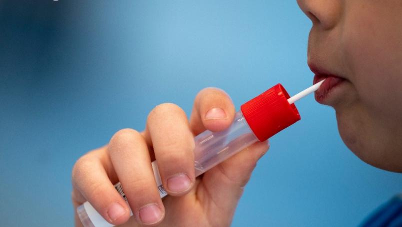Austria desarrolla pruebas COVID-19 a niños con forma de paletas