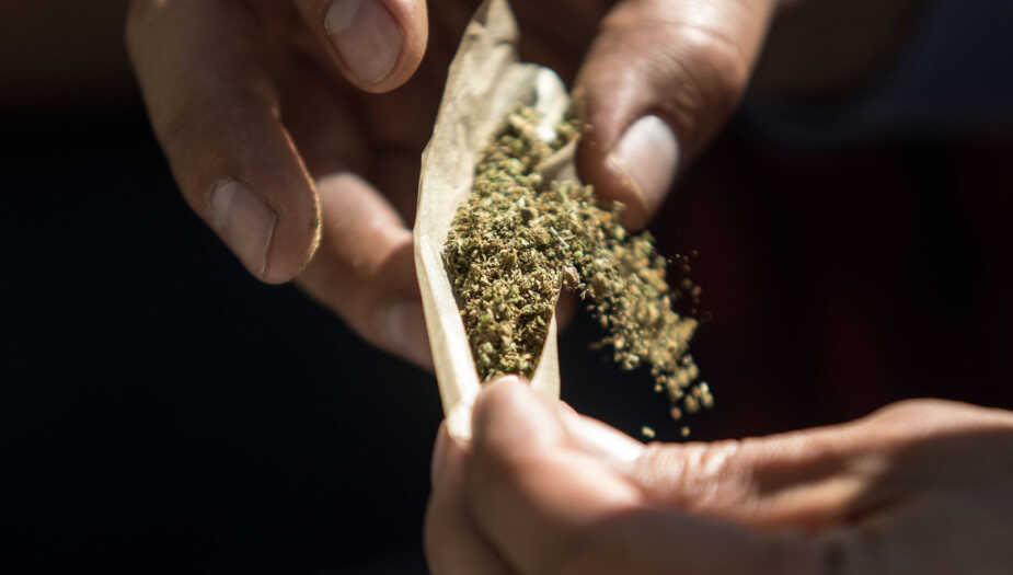 ¡Histórico! Corte anula prohibición del uso lúdico de la marihuana