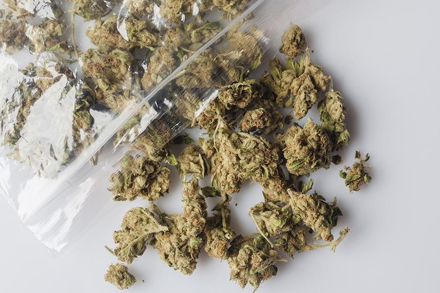 Colombia exportará la flor seca de cannabis con fines medicinales