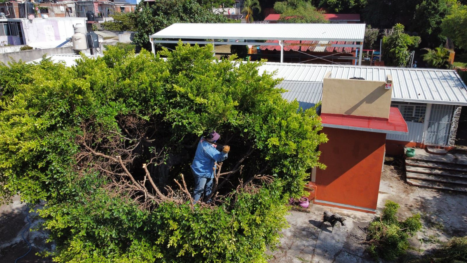 Dan mantenimiento a escuelas de Jiutepec