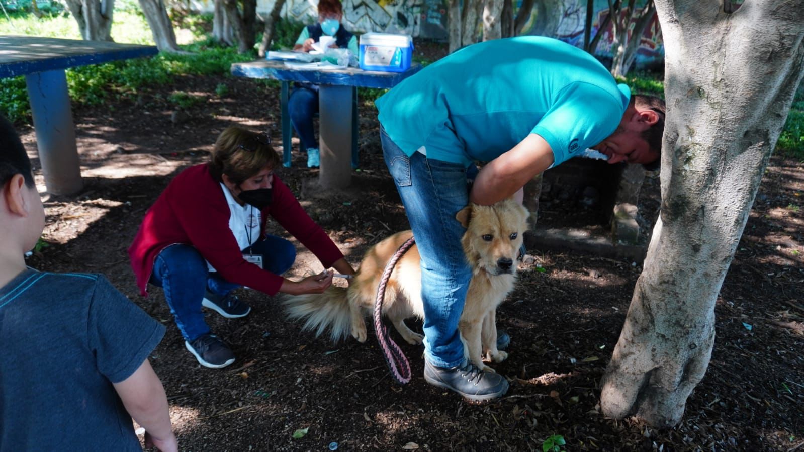 ¡Lleva a tus mascotas a vacunar! inicia campaña GRATIS en Jiutepec