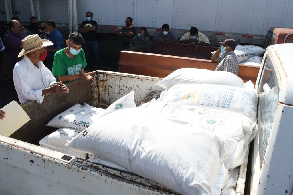 Reciben apoyos apicultores de Cuautla
