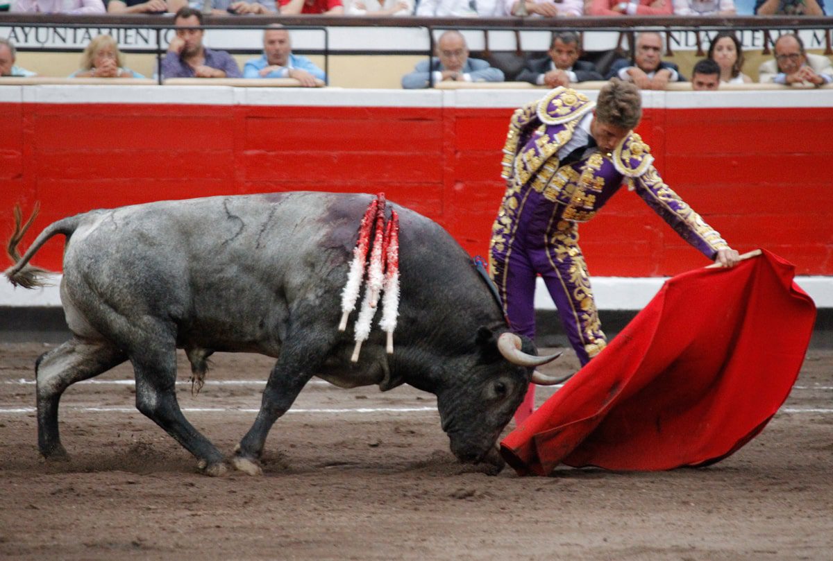 Ciudad de España prohibió corridas de toros
