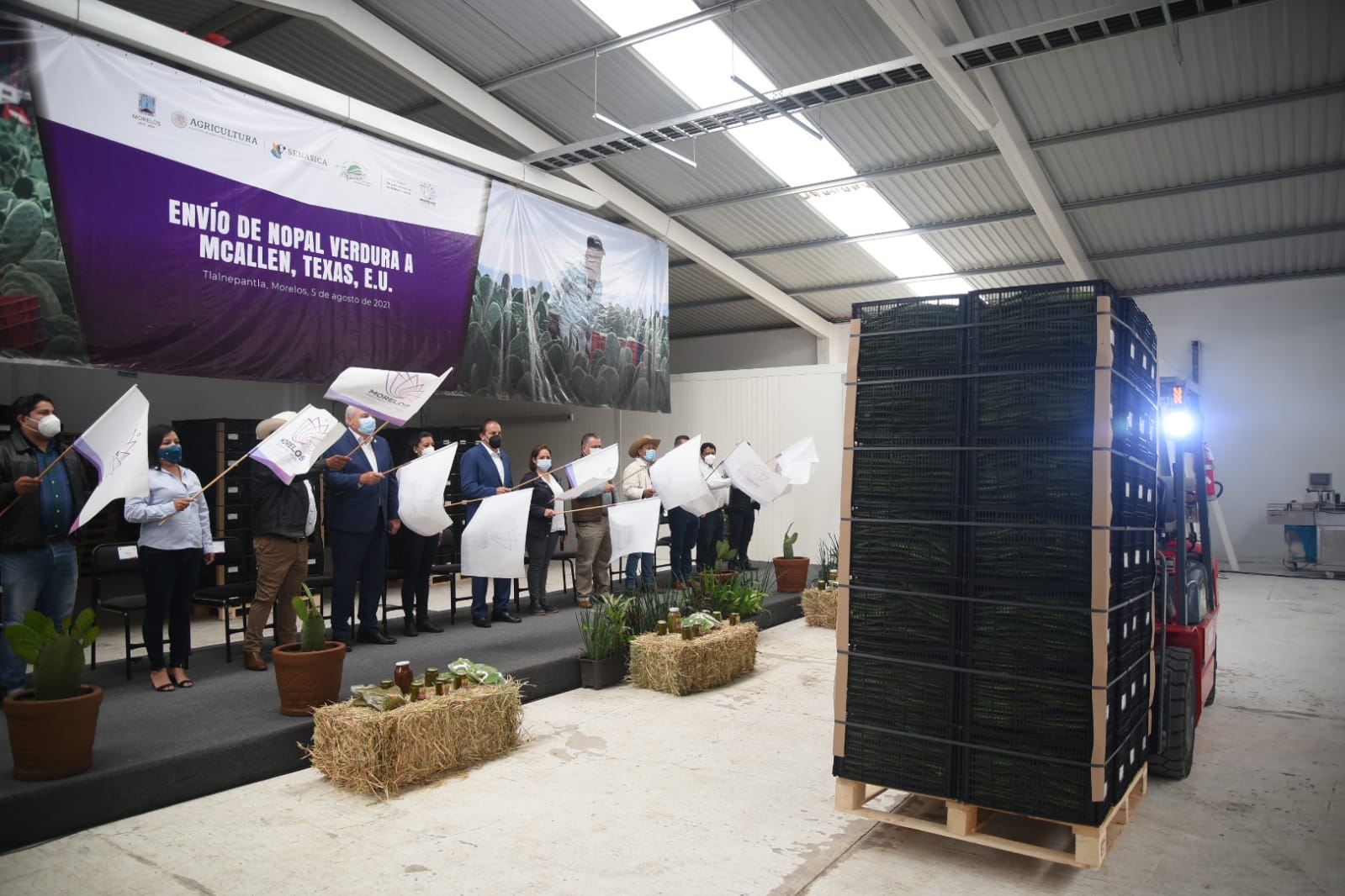 Exporta Morelos 23 toneladas de nopal a Estados Unidos