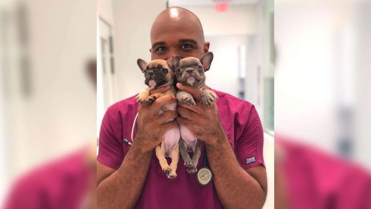 Veterinario se declara culpable de pornografía infantil y abuso animal