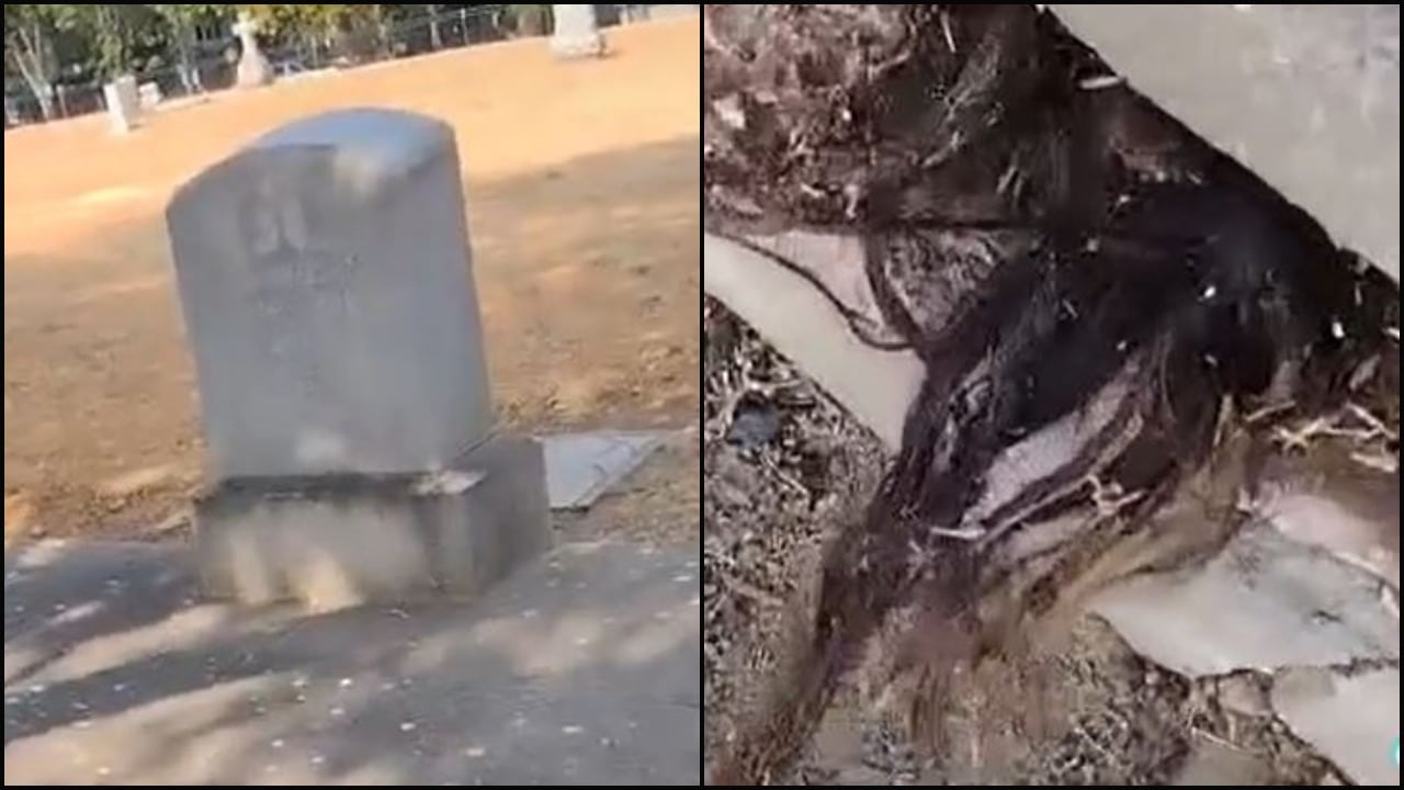 Encuentra cabello humano saliendo de una tumba con más de 100 años de antigüedad