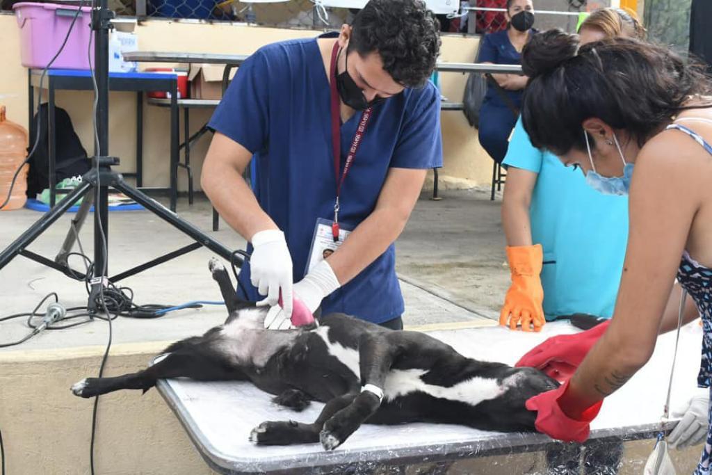 Anuncian cuarta Feria de Salud Animal en Cuautla